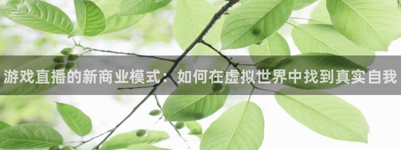 长征娱乐注册网站：游戏直播的新商业模式：如何在虚拟世界中找到