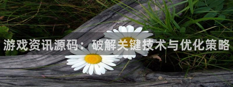 沐春长征娱乐：游戏资讯源码：破解关键技术与优化策略