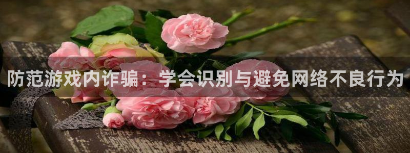 长征娱乐注册：防范游戏内诈骗：学会识别与避免网络不良行为