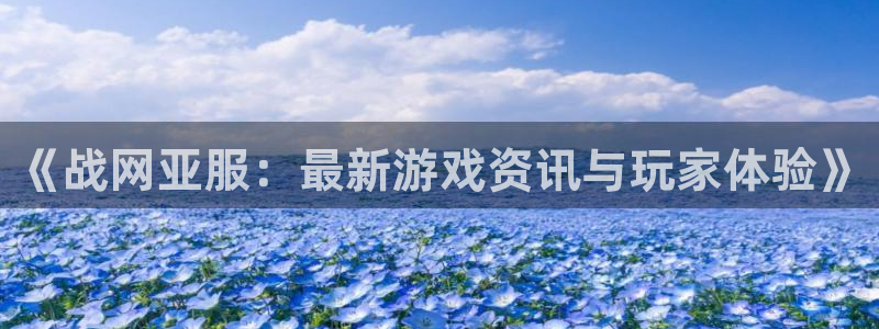 长征娱乐app下载：《战网亚服：最新游戏资讯与玩家体验》