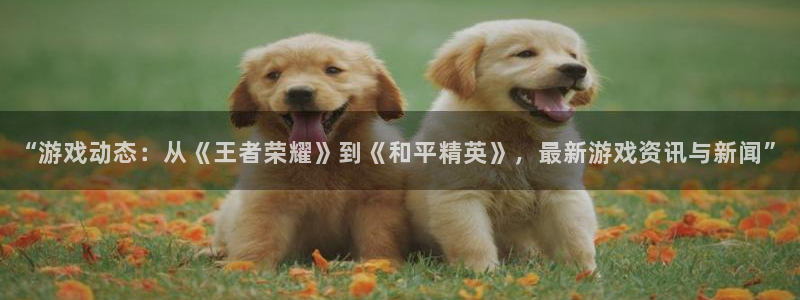 长征娱乐什么意思：“游戏动态：从《王者荣耀》到《和平精英》，