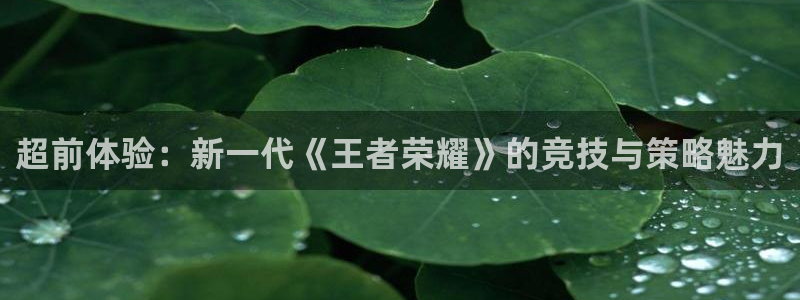 长征娱乐直属：超前体验：新一代《王者荣耀》的竞技与策略魅力