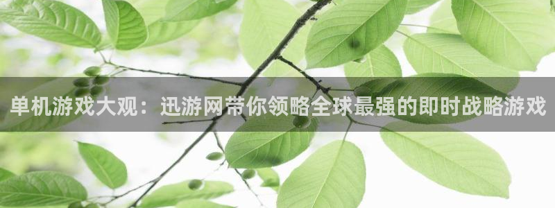 长征娱乐登陆：单机游戏大观：迅游网带你领略全球最强的即时战略