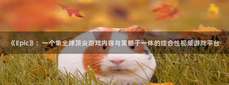 长征娱乐怎么样