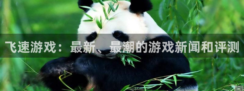 长征娱乐怎么电脑下载挂机软件