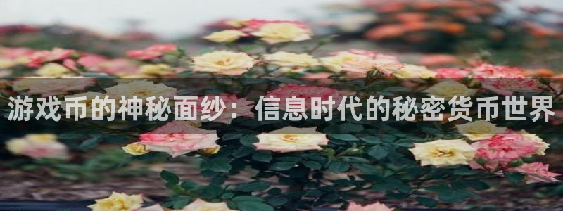 长征娱乐登陆：游戏币的神秘面纱：信息时代的秘密货币世界