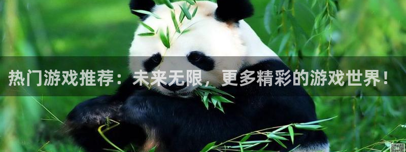 长征娱乐登陆：热门游戏推荐：未来无限，更多精彩的游戏世界！